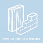 Арболитовый блок 495х300х195 D700